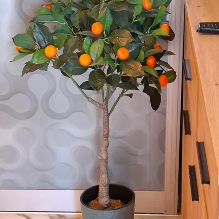 Larenta Apartamento